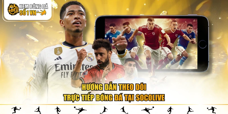 Hướng dẫn xem trực tiếp bóng đá